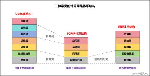 計算機(jī)網(wǎng)絡(luò)導(dǎo)論 探索網(wǎng)絡(luò)世界的奧秘與軟件技術(shù)開發(fā)
